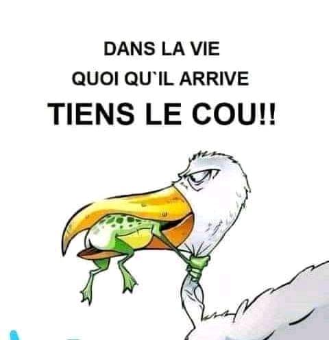 Couverture de Plaisir XXXL