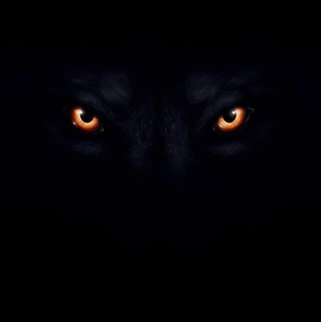 Couverture de BTF